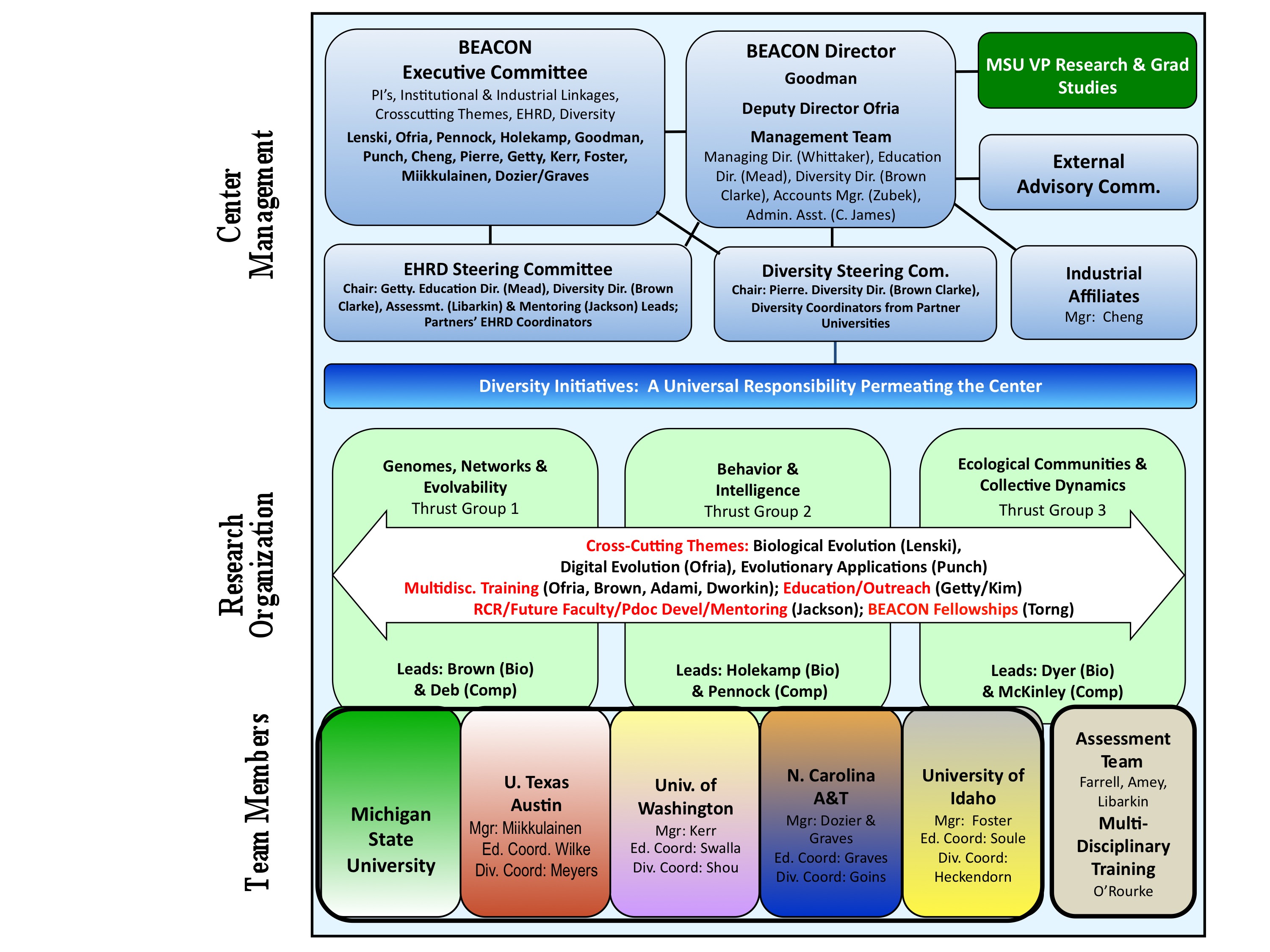 BEACON Organizational Chart BEACON