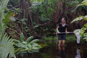 Idelle Cooper catching damselfies in Hawaii