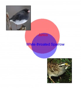 Venn Diagram showing overlap in junco and white-throated sparrow volatile compounds
