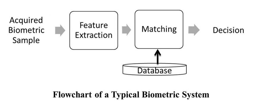 Flowchart of a typical biometric system