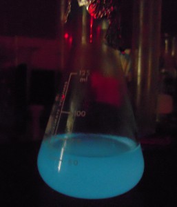 Flask of bioluminescent bacteria