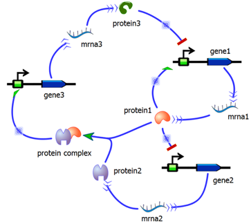 Synthetic Gene Circuit diagram