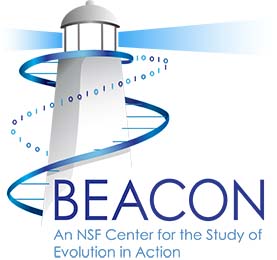 What would the BEACON logo look like if we evolved it for over a billion generations?