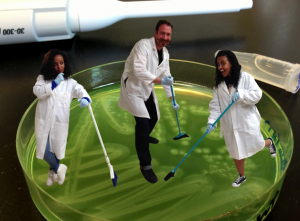 Just another day in the lab. Making plates with Belen Mesele (l) and Helen Abera (r), two of the people working on the project with me. Our wild-type cooperator strains produce beautiful blue-green colonies due to the production of pyocyanin, another behavior regulated by quorum sensing.