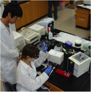 Eric Wei and Lea Drogalis (former high school students) performing preliminary kit tests
