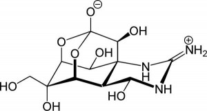 Molecular structure of tetrodotoxin (TTX). (source: http://0.tqn.com/d/chemistry/1/0/J/Q/1/Tetrodotoxin.jpg)