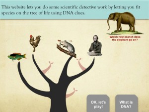 A part of the tutorial for the Tree Thinking game.