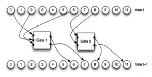 A Markov network with 12 nodes and two Probabilistic Logic Gates (PLGs). Once the nodes at time t pass binary information into the PLGs, the PLGs activate and update the states of the nodes at time t+1.