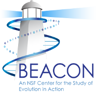 BEACON Logo May 2010