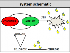 schematic of system