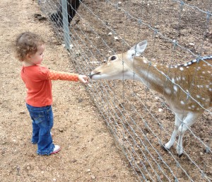 My 2 year old daughter at the Austin Zoo and Animal Sanctuary .