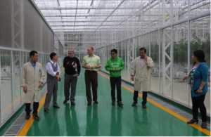 L to R: (greenhouse manager), Prof. Xu, Prof. Goodman, Prof. Runkle, Chenwen Zhu (former BEACON visiting scholar), (greenhouse employee), Prof. Ruihua Wei.