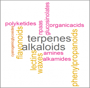 Word cloud of different types of plant specialized metabolites. Size of words is scaled by the log10 of the approx. number of known compounds (Wink, 2010).
