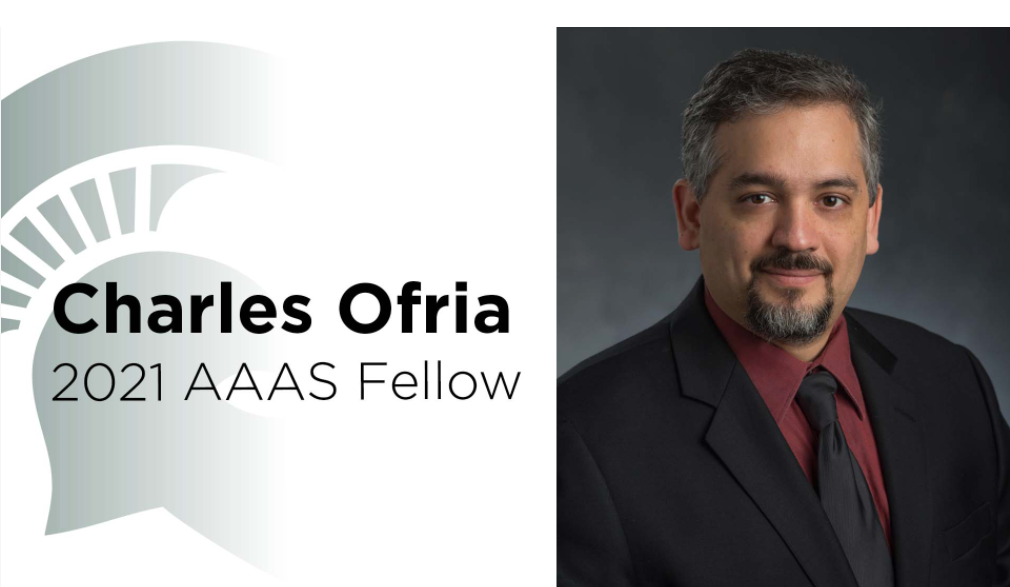 Charles Ofria, 2017 William J. Beal Outstanding Faculty Award Recipient